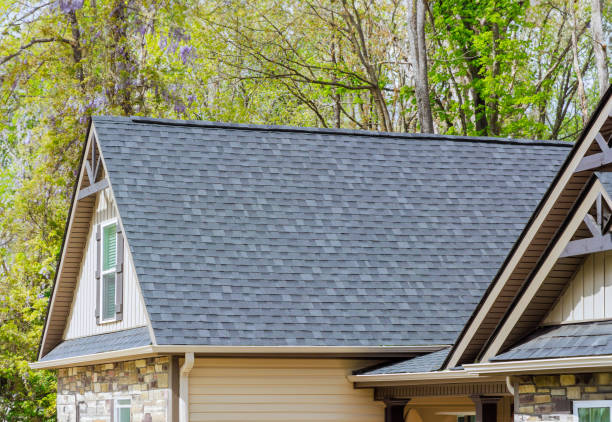 Best Chimney Flashing Repair  in South Holland, IL