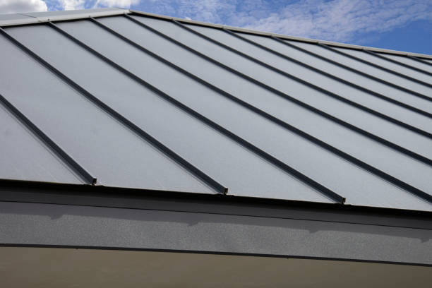 Best Skylight Installation and Repair  in South Holland, IL