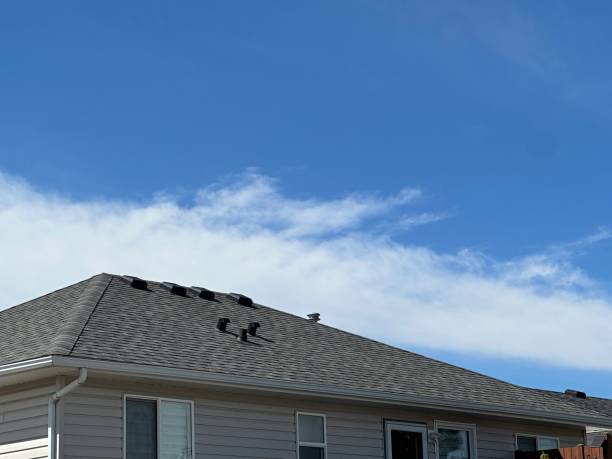 Professional Roofing Service in South Holland, IL